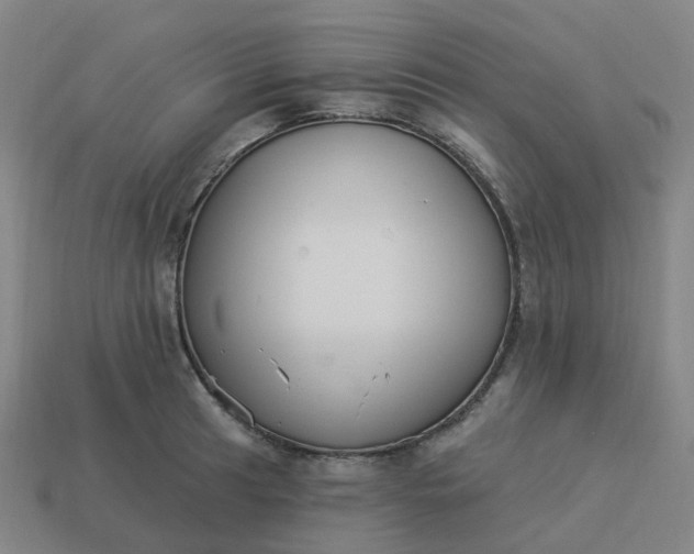 X0000114081041200910191538