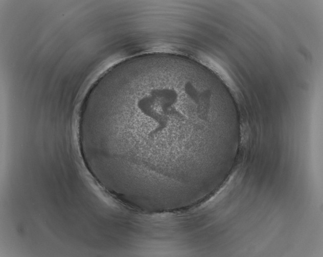 X0000114081043200910191538