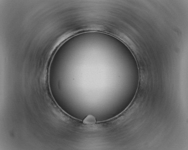 X0000114081044200910191538