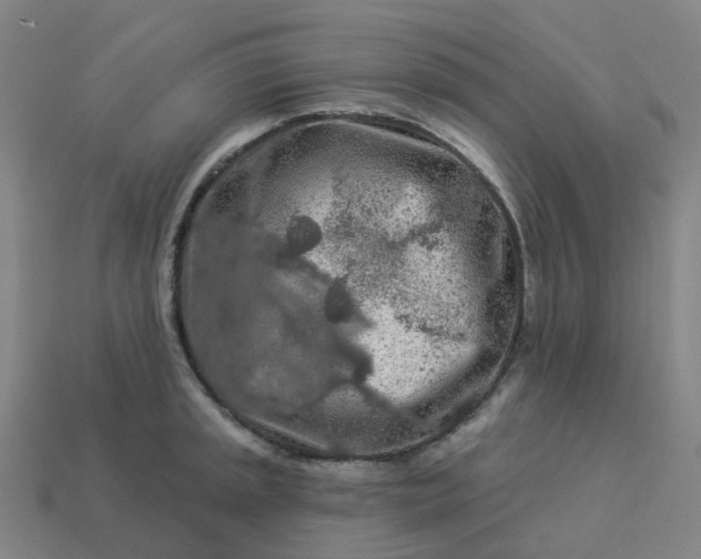 X0000114081045200910191538