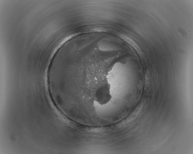 X0000114081047200910191538