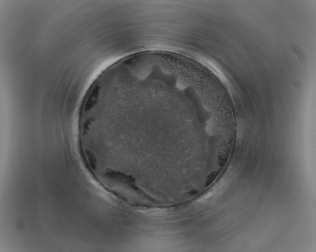 X0000114081048200910191538