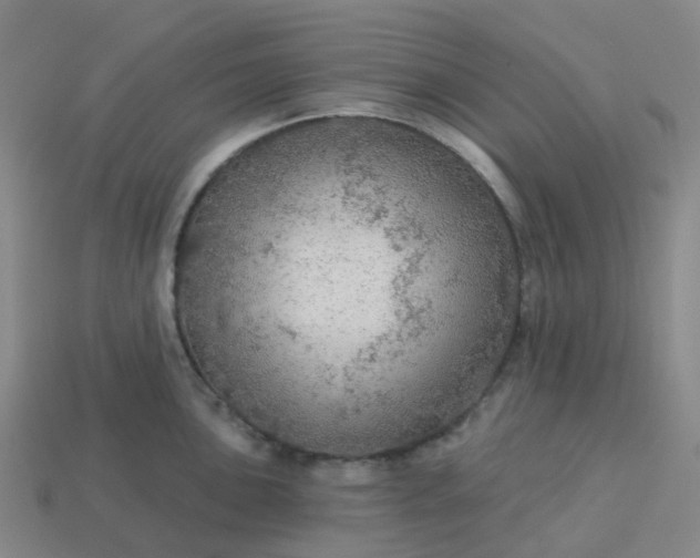 X0000114081051200910191538