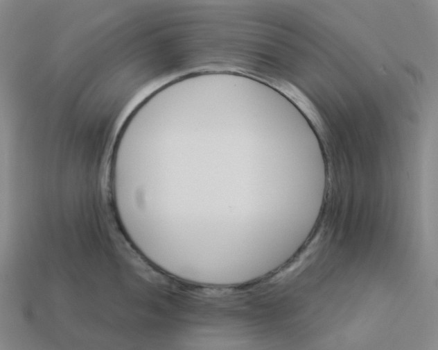 X0000114081052200910191538