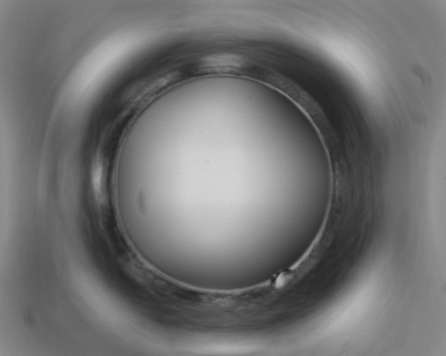 X0000114081054200910191538