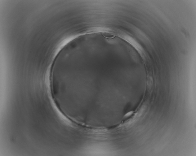 X0000114081055200910191538