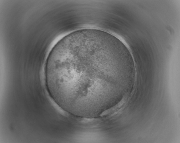 X0000114081056200910191538