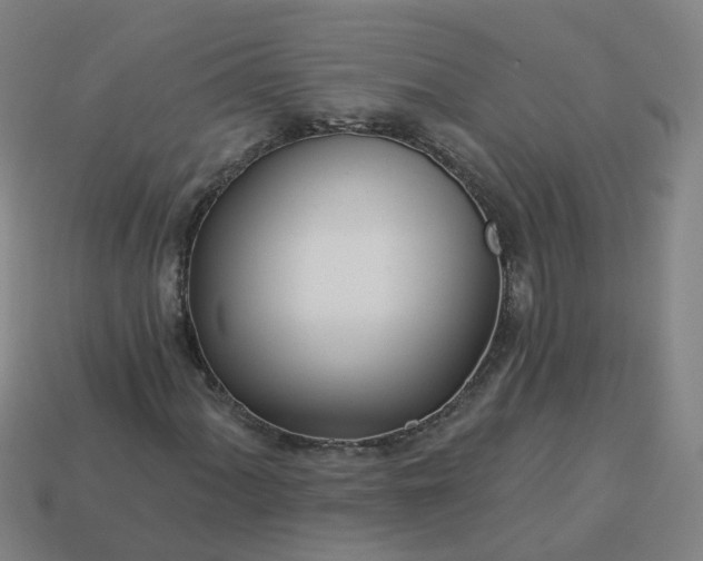 X0000114081060200910191538