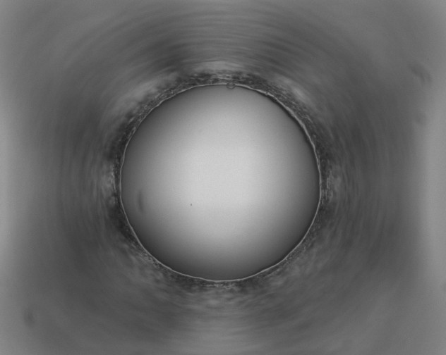 X0000114081062200910191538