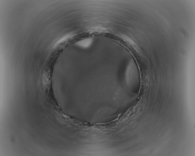 X0000114081063200910191538