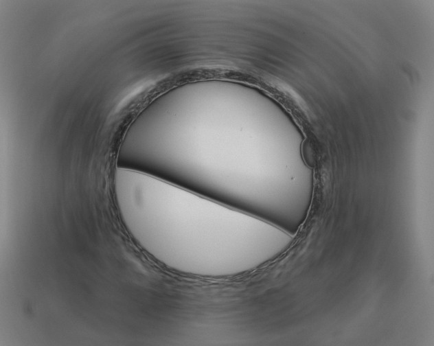 X0000114081064200910191538