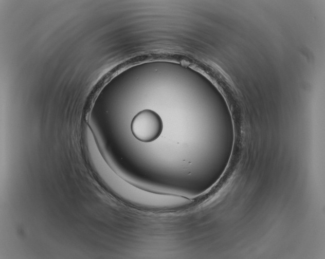 X0000114081065200910191538