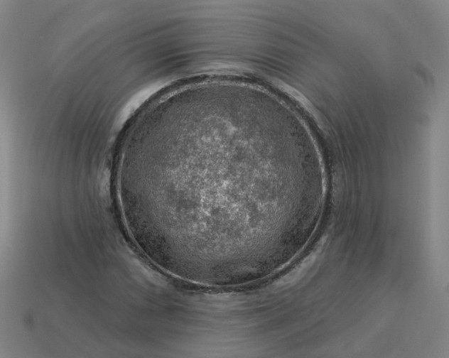 X0000114081066200910191538