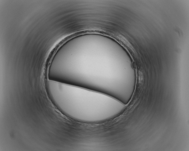 X0000114081068200910191538