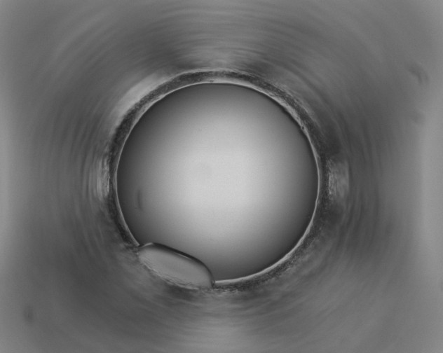 X0000114081069200910191538