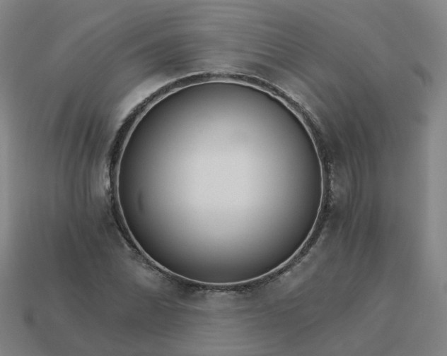 X0000114081070200910191538