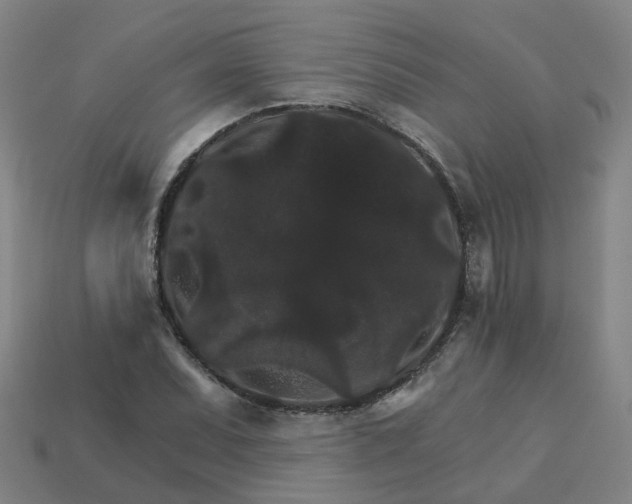 X0000114081071200910191537