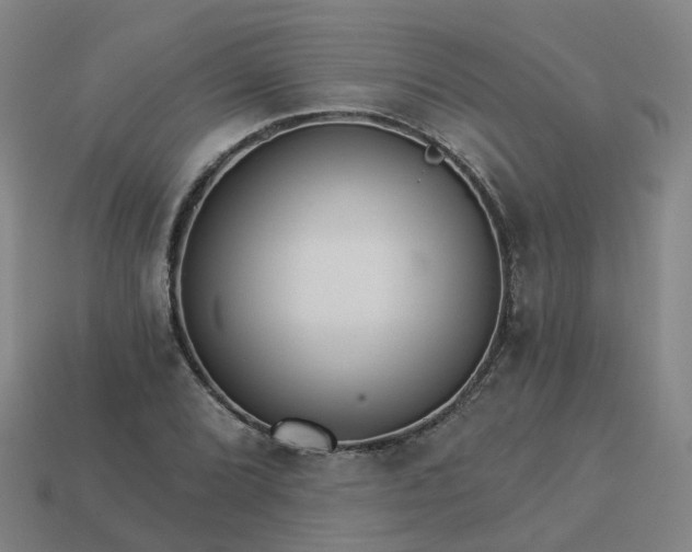 X0000114081072200910191537