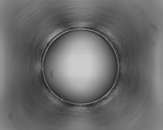 X0000114081073200910191537