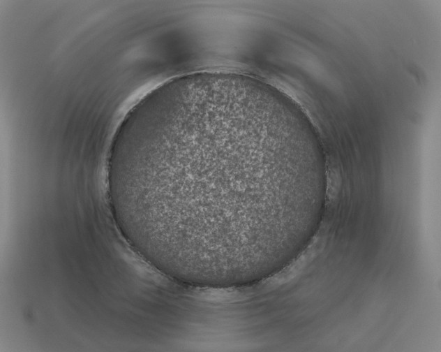 X0000114081074200910191537