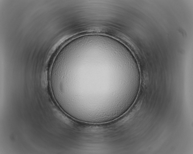 X0000114081075200910191537