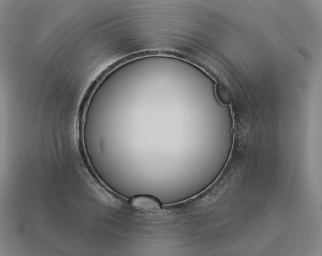 X0000114081076200910191537