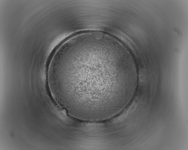 X0000114081077200910191537