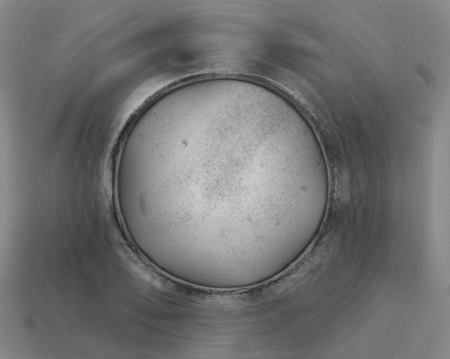 X0000114081078200910191537