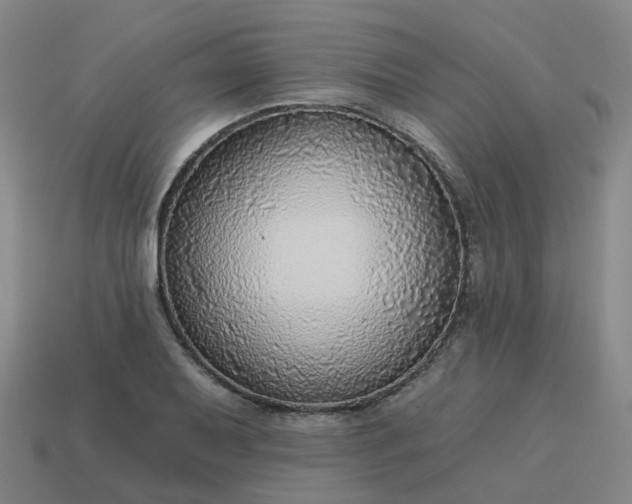 X0000114081079200910191537