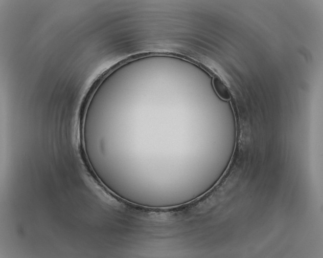 X0000114081080200910191537