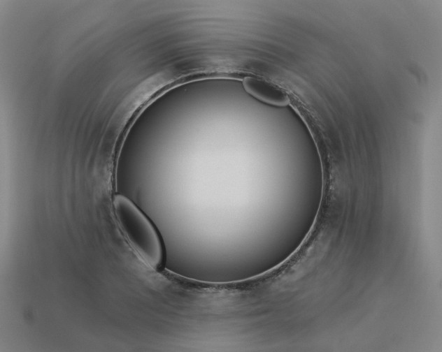 X0000114081081200910191537