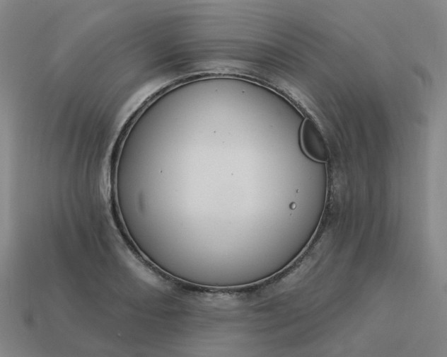 X0000114081082200910191537