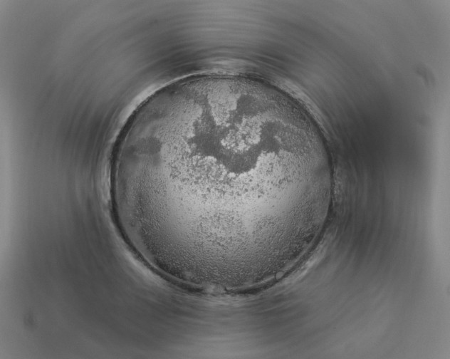 X0000114081083200910191537