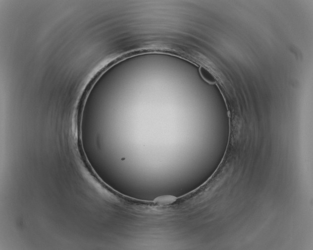 X0000114081084200910191537