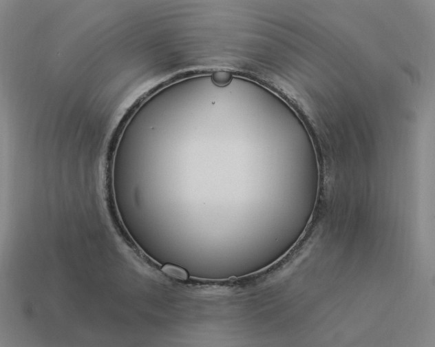 X0000114081085200910191537