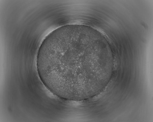 X0000114081086200910191537