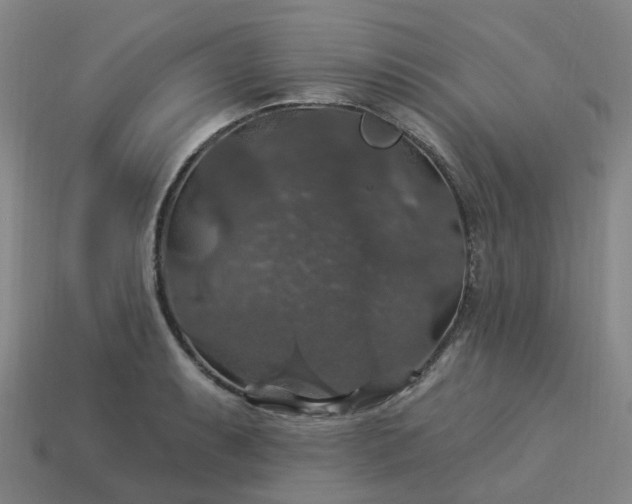 X0000114081087200910191537