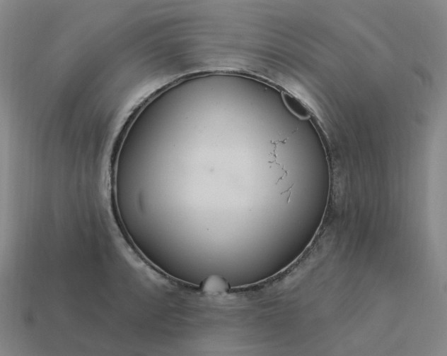 X0000114081088200910191537