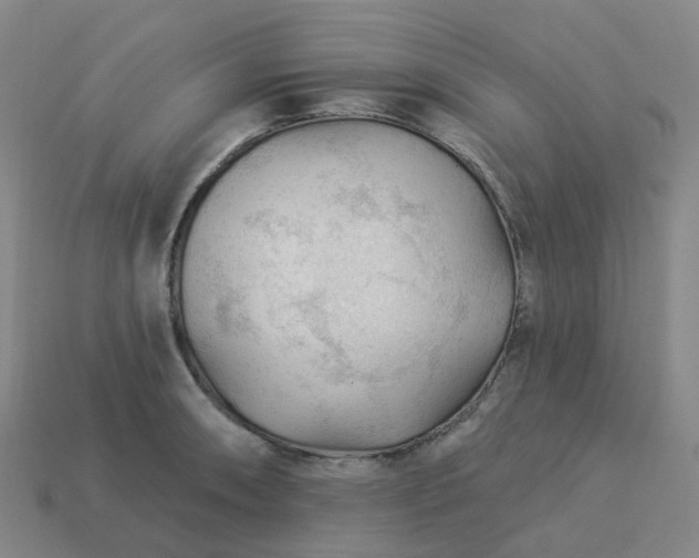 X0000114081090200910191537