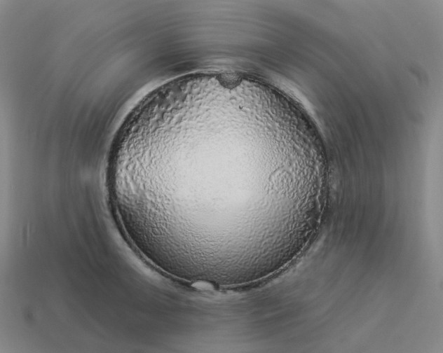 X0000114081091200910191537