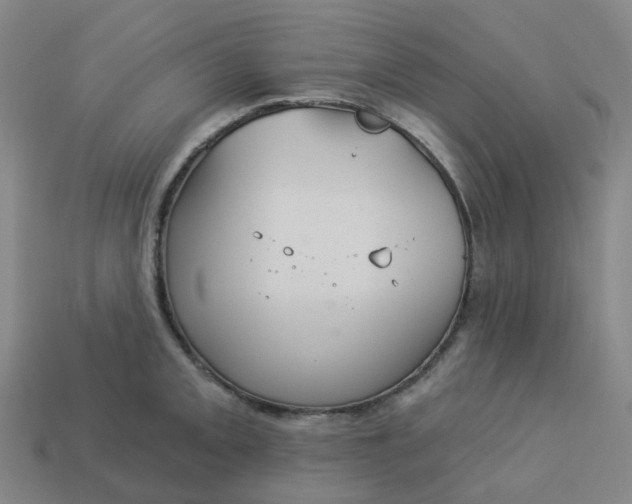 X0000114081093200910191537