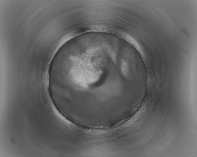 X0000114081095200910191537