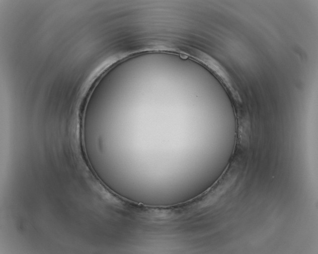 X0000114081096200910191537