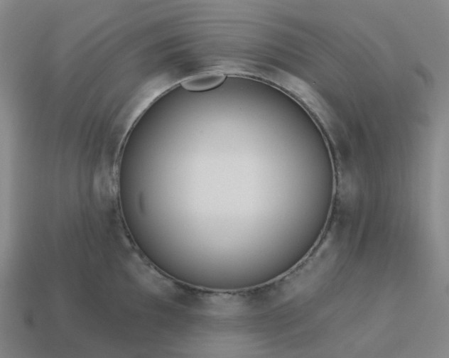 X0000114081097200910191537