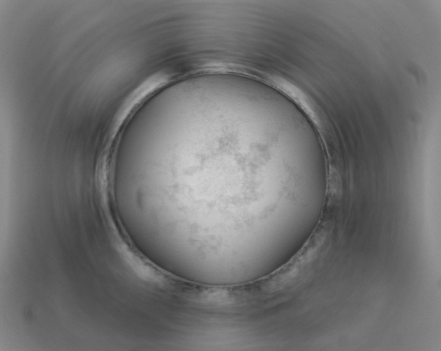 X0000114081098200910191537