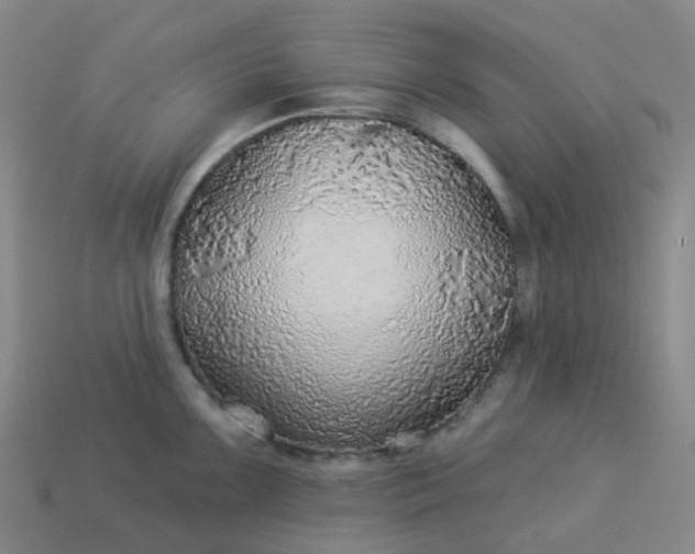 X0000114081099200910191537