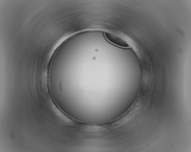 X0000114081100200910191537