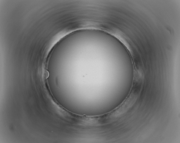 X0000114081101200910191537