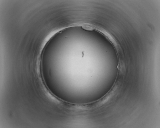 X0000114081102200910191537