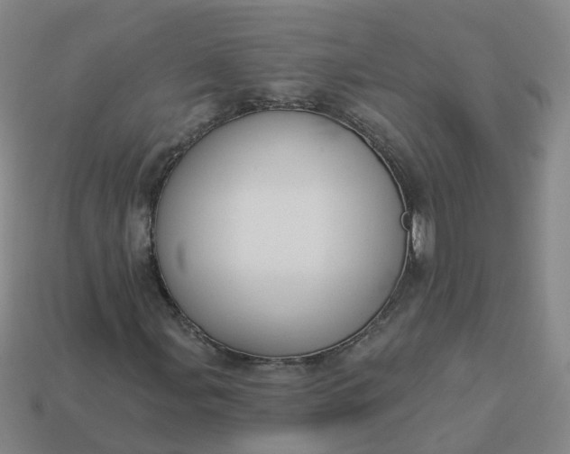 X0000114081107200910191536